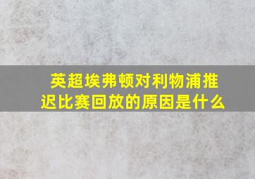 英超埃弗顿对利物浦推迟比赛回放的原因是什么