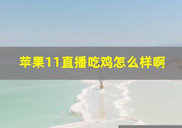 苹果11直播吃鸡怎么样啊