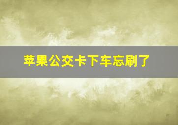 苹果公交卡下车忘刷了