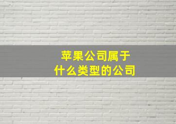 苹果公司属于什么类型的公司