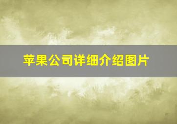 苹果公司详细介绍图片