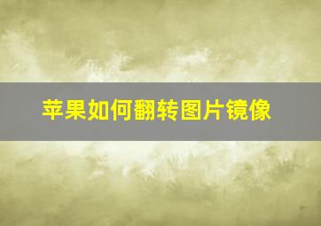 苹果如何翻转图片镜像