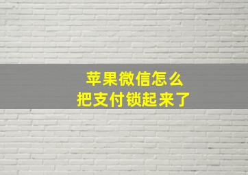 苹果微信怎么把支付锁起来了