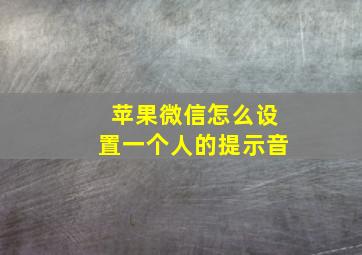 苹果微信怎么设置一个人的提示音