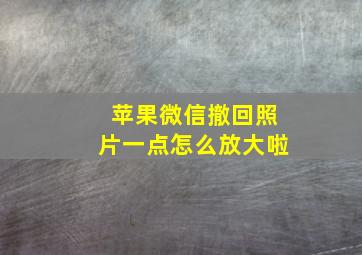 苹果微信撤回照片一点怎么放大啦