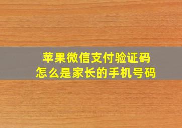 苹果微信支付验证码怎么是家长的手机号码