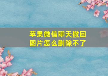 苹果微信聊天撤回图片怎么删除不了