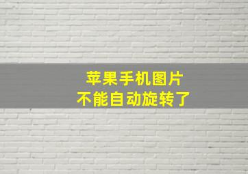 苹果手机图片不能自动旋转了