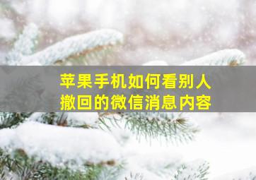 苹果手机如何看别人撤回的微信消息内容