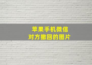 苹果手机微信对方撤回的图片