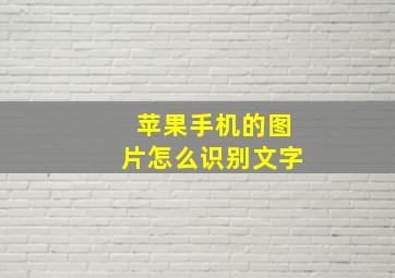 苹果手机的图片怎么识别文字