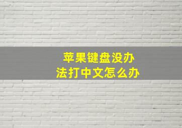 苹果键盘没办法打中文怎么办