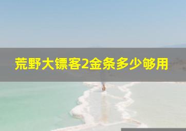 荒野大镖客2金条多少够用