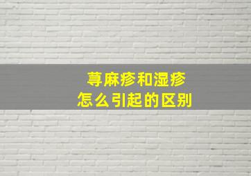 荨麻疹和湿疹怎么引起的区别