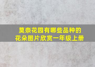 莫奈花园有哪些品种的花朵图片欣赏一年级上册