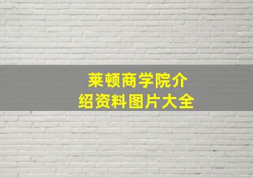 莱顿商学院介绍资料图片大全