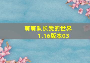 萌萌队长我的世界1.16版本03