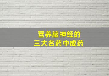 营养脑神经的三大名药中成药