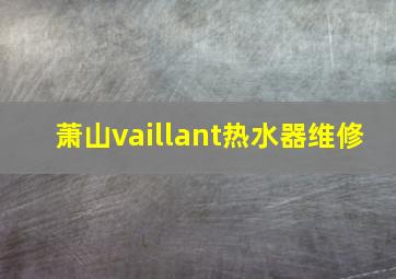 萧山vaillant热水器维修