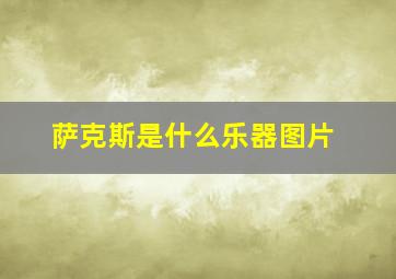 萨克斯是什么乐器图片