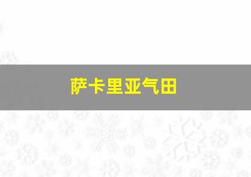 萨卡里亚气田