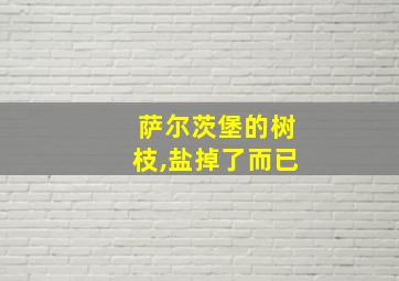 萨尔茨堡的树枝,盐掉了而已