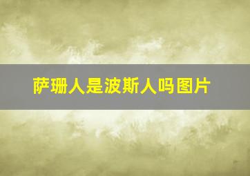 萨珊人是波斯人吗图片