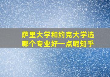 萨里大学和约克大学选哪个专业好一点呢知乎