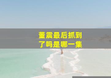 董震最后抓到了吗是哪一集