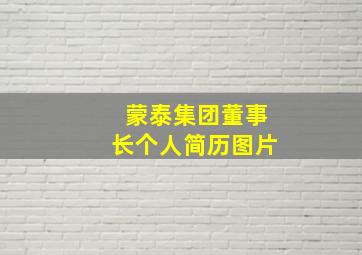 蒙泰集团董事长个人简历图片