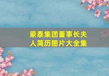 蒙泰集团董事长夫人简历图片大全集