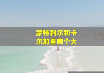 蒙特利尔和卡尔加里哪个大