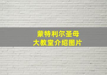 蒙特利尔圣母大教堂介绍图片