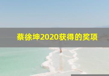 蔡徐坤2020获得的奖项