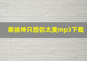 蔡徐坤只因你太美mp3下载