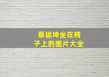 蔡徐坤坐在椅子上的图片大全