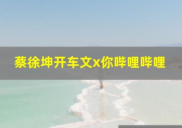 蔡徐坤开车文x你哔哩哔哩