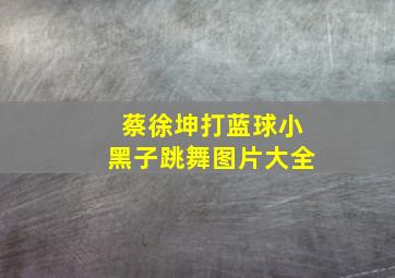 蔡徐坤打蓝球小黑子跳舞图片大全