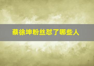 蔡徐坤粉丝怼了哪些人