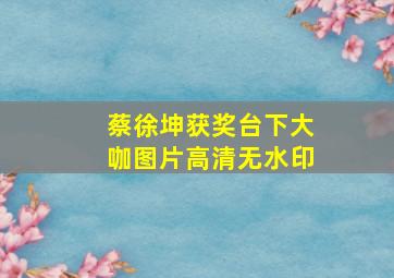 蔡徐坤获奖台下大咖图片高清无水印