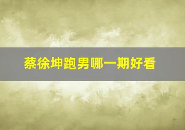 蔡徐坤跑男哪一期好看