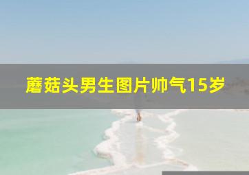 蘑菇头男生图片帅气15岁