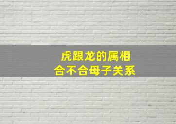 虎跟龙的属相合不合母子关系