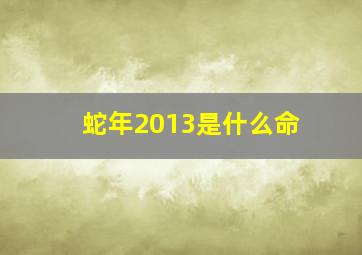 蛇年2013是什么命