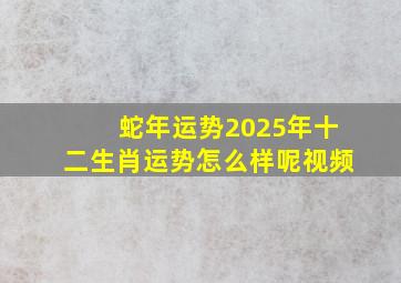 蛇年运势2025年十二生肖运势怎么样呢视频