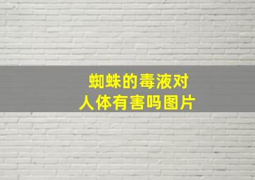 蜘蛛的毒液对人体有害吗图片