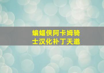 蝙蝠侠阿卡姆骑士汉化补丁天邈