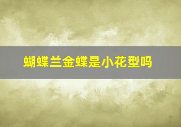 蝴蝶兰金蝶是小花型吗