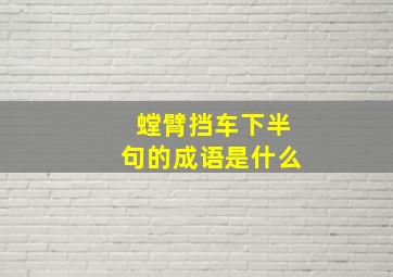 螳臂挡车下半句的成语是什么