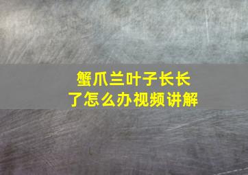 蟹爪兰叶子长长了怎么办视频讲解